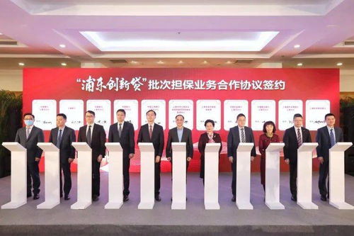 浦东创新贷 精准滴灌中小微企业，打造上海企业管理服务新标杆